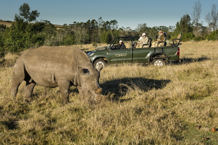 Forget a birdie here's a Rhino at Gowanda Game Reserve!